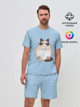 Мужской костюм с шортами / Тоторный кот