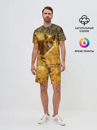 Мужской костюм с шортами / Рыжая Лиса