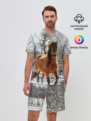 Мужской костюм с шортами / Конь и снег