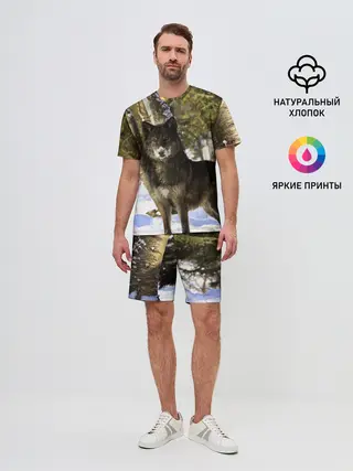Мужской костюм с шортами / Волк и снег