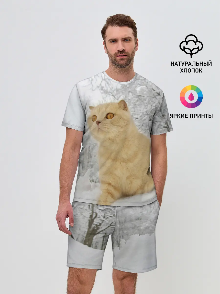 Мужской костюм с шортами / Кот и снег
