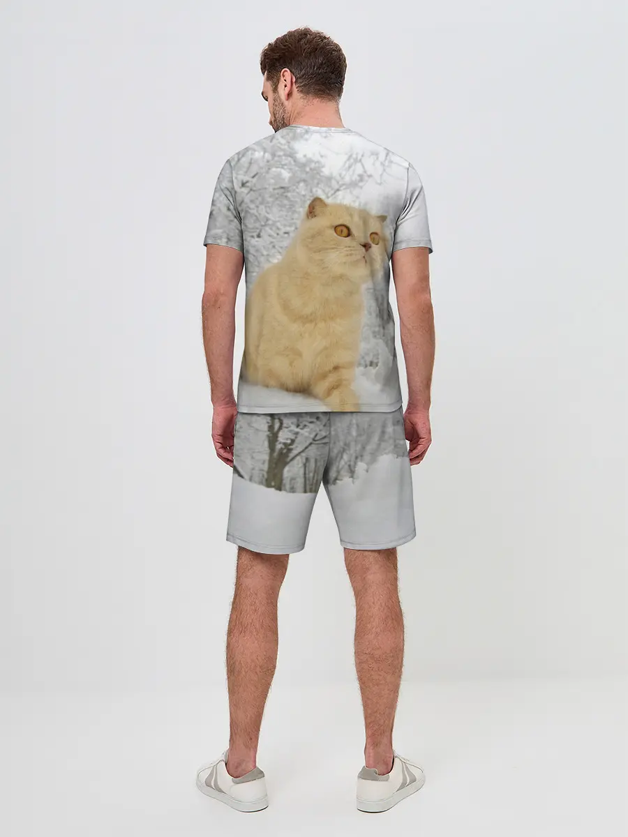 Мужской костюм с шортами / Кот и снег