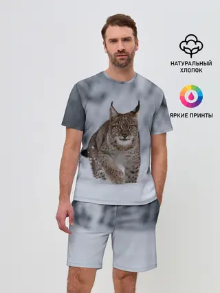 Мужской костюм с шортами / Рысь