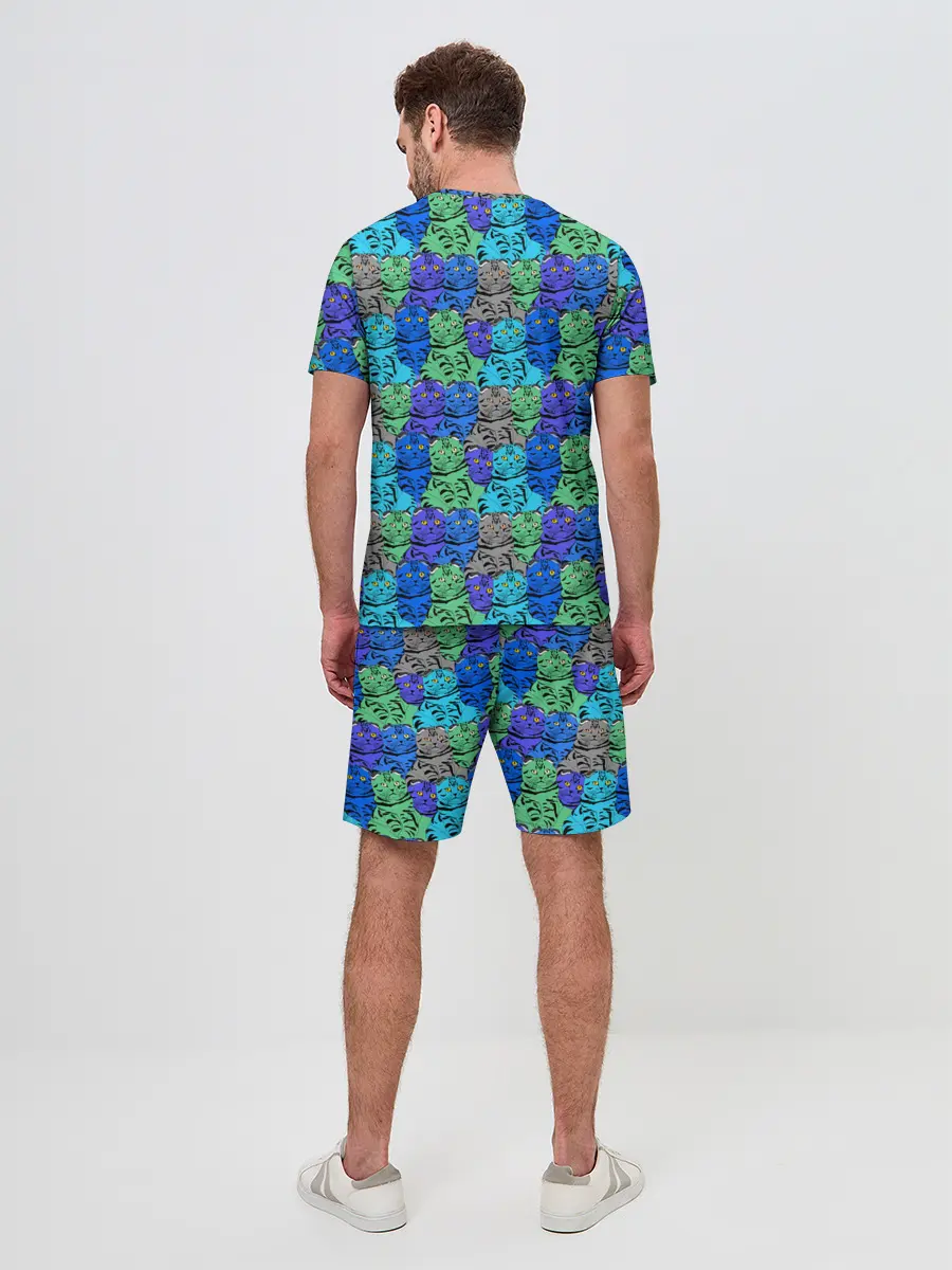 Мужской костюм с шортами / Толстый кот