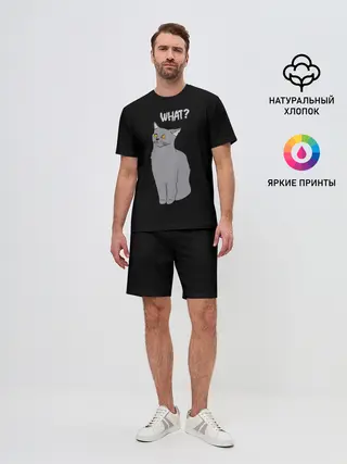 Мужской костюм с шортами / What cat