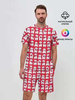 Мужской костюм с шортами / Мишки в шарфиках