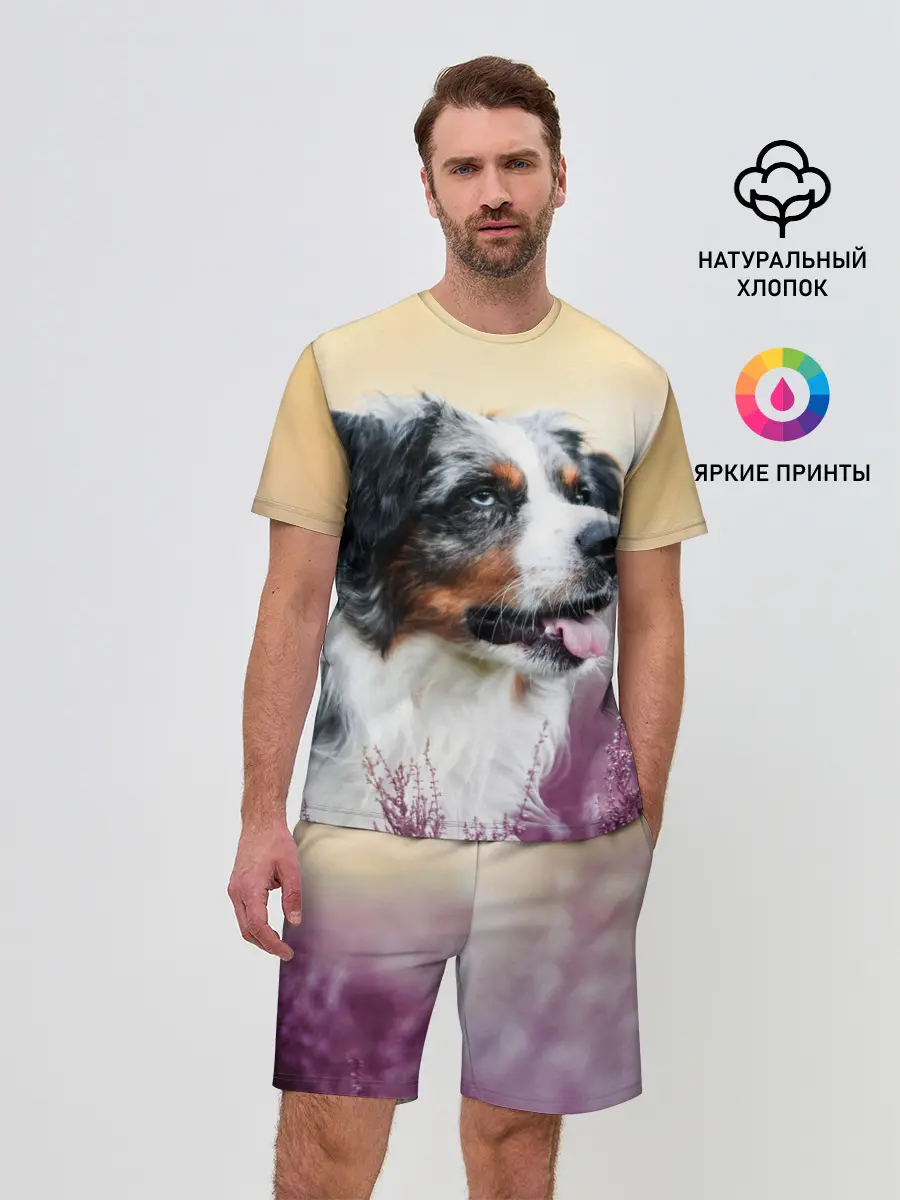 Мужской костюм с шортами / Австралийская Овчарка