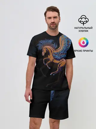 Мужской костюм с шортами / Pegasus wings