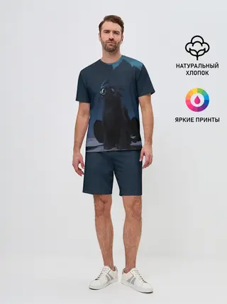 Мужской костюм с шортами / Беззубик:Ночная Фурия