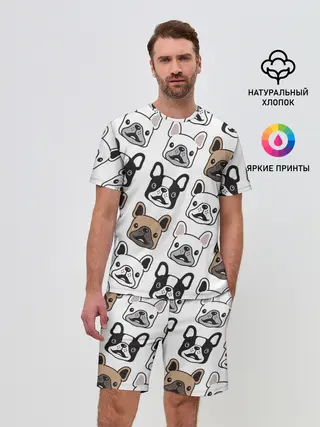 Мужской костюм с шортами / БОСТОН ТЕРЬЕР | BOSTON TERRIER