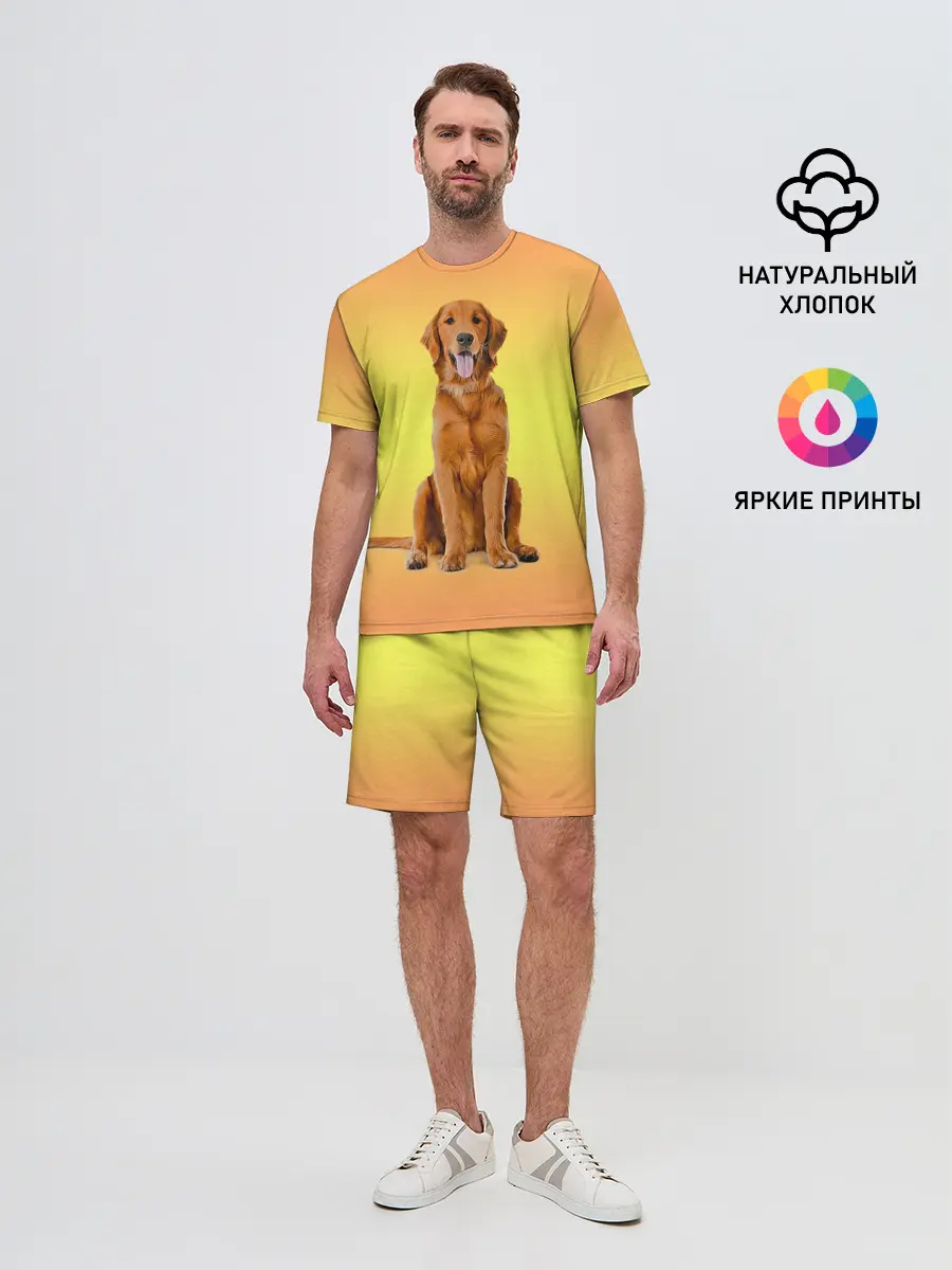 Мужской костюм с шортами / Золотистый ретривер