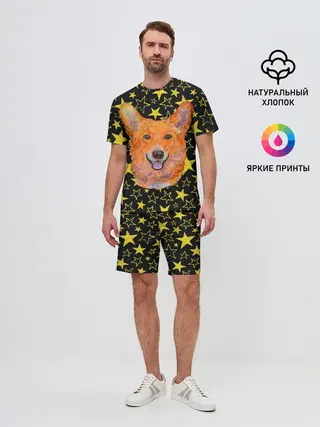 Мужской костюм с шортами / Corgi | Stars
