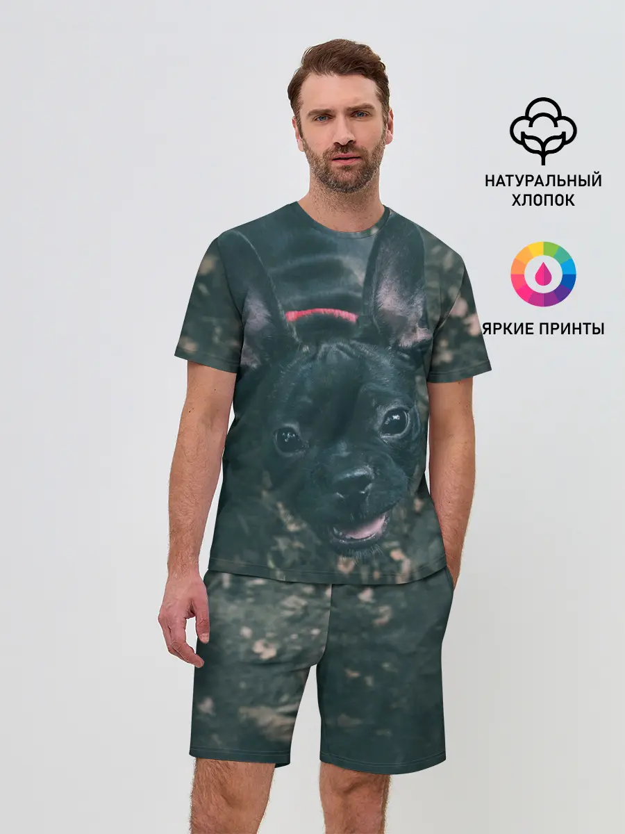 Мужской костюм с шортами / Бульдог морда собакена черного