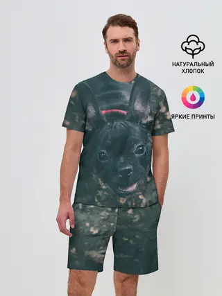 Мужской костюм с шортами / Бульдог морда собакена черного