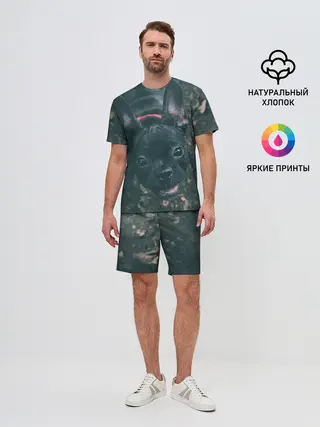 Мужской костюм с шортами / Бульдог морда собакена черного