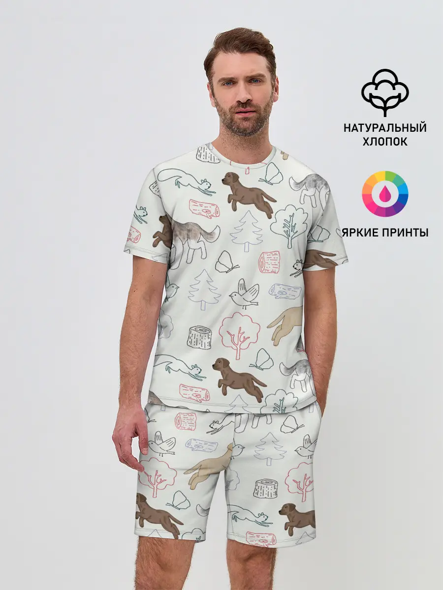 Мужской костюм с шортами / Рисунок домашних любимцев