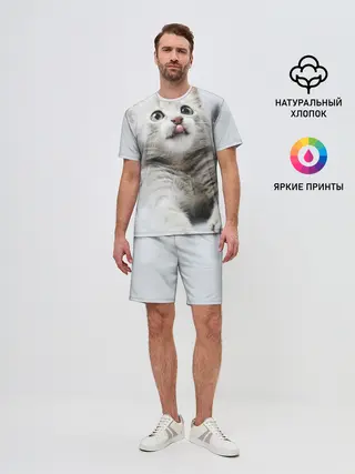 Мужской костюм с шортами / серый котенок