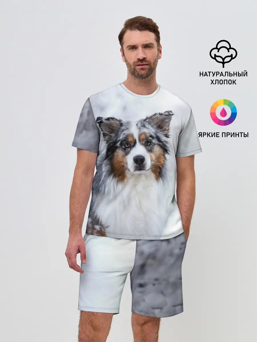 Мужской костюм с шортами / Австралийская овчарка