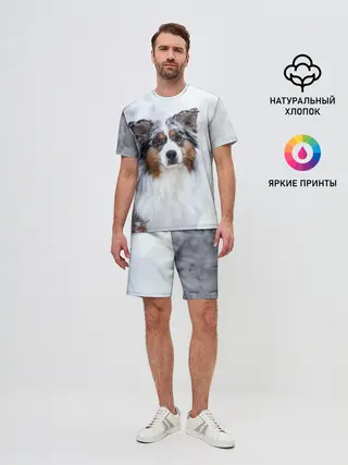 Мужской костюм с шортами / Австралийская овчарка