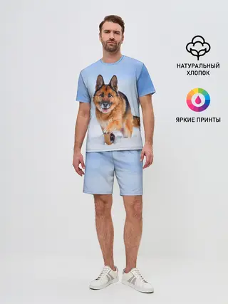 Мужской костюм с шортами / Овчарка и снег