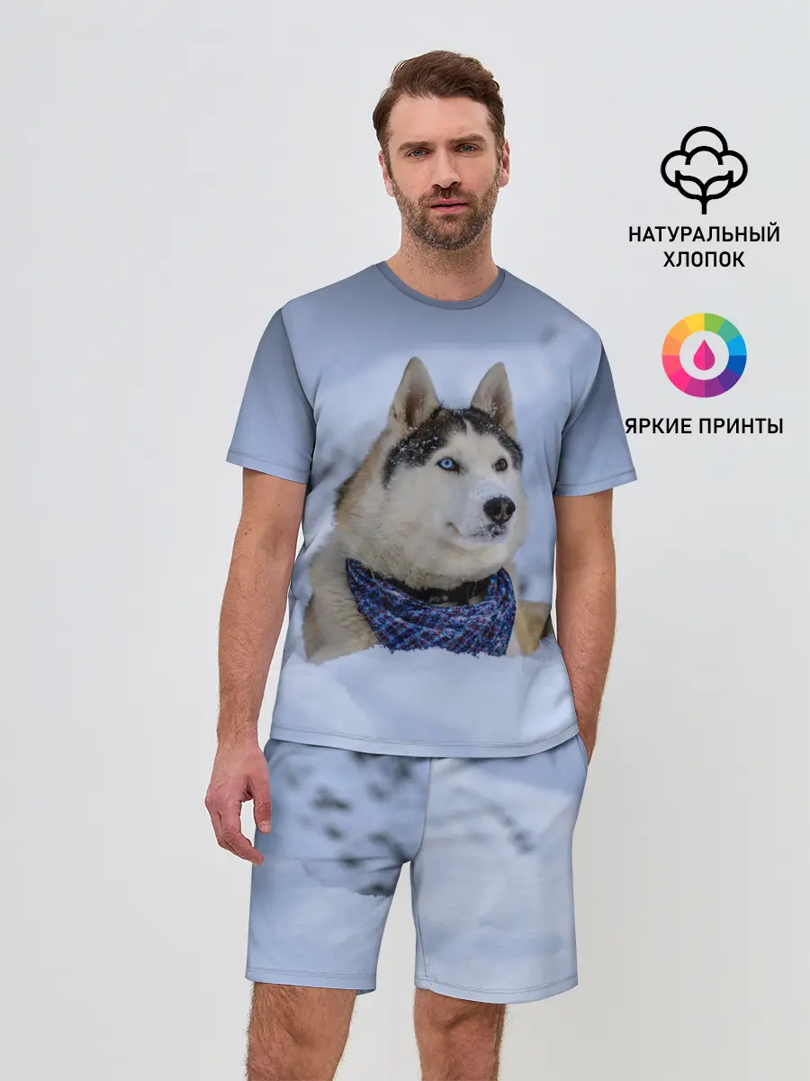 Мужской костюм с шортами / Хаски