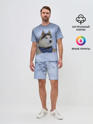 Мужской костюм с шортами / Хаски