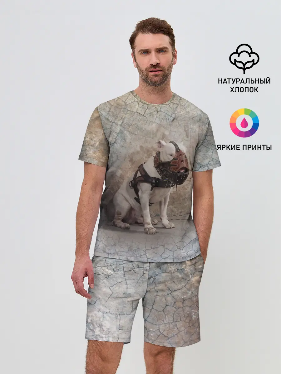 Мужской костюм с шортами / Бойцовый бультерьер