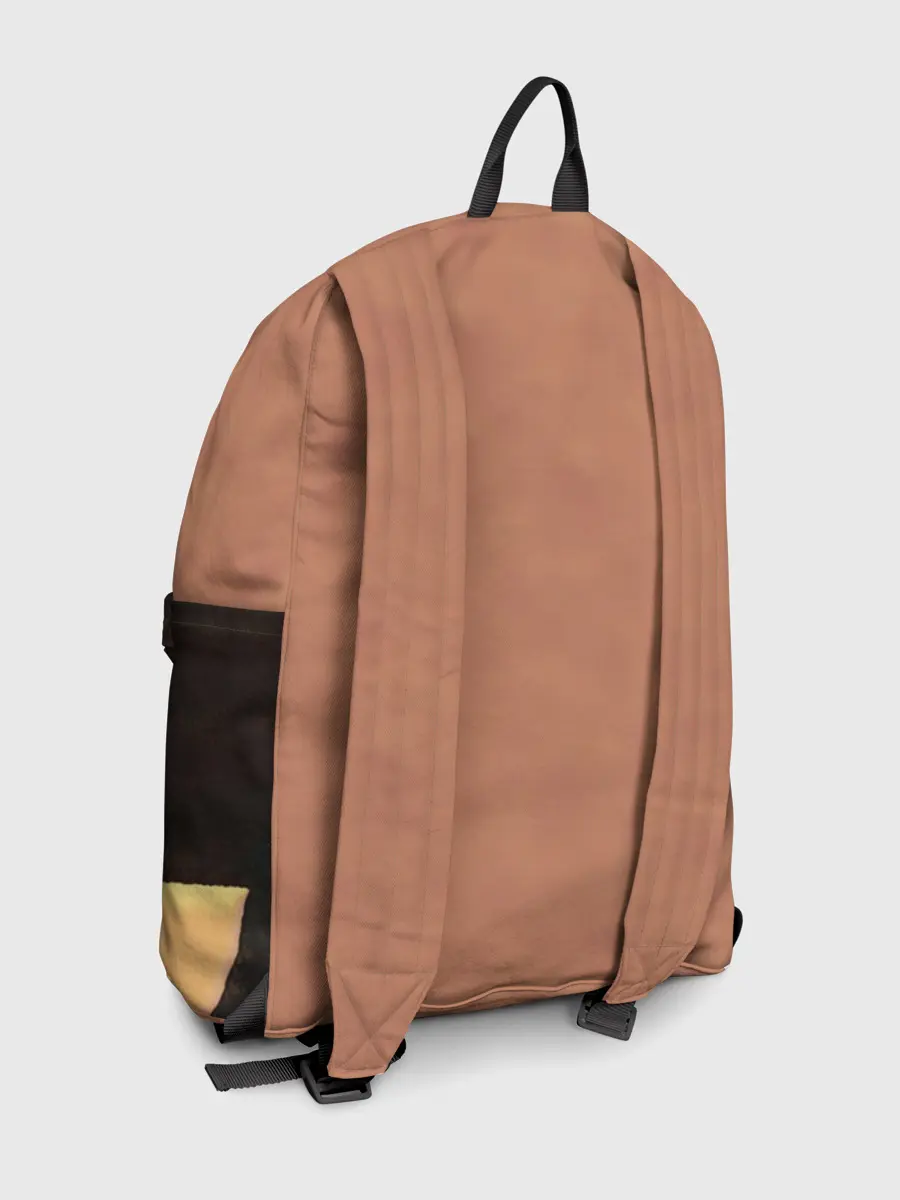 Рюкзак джинсовый / Как приручить дракона