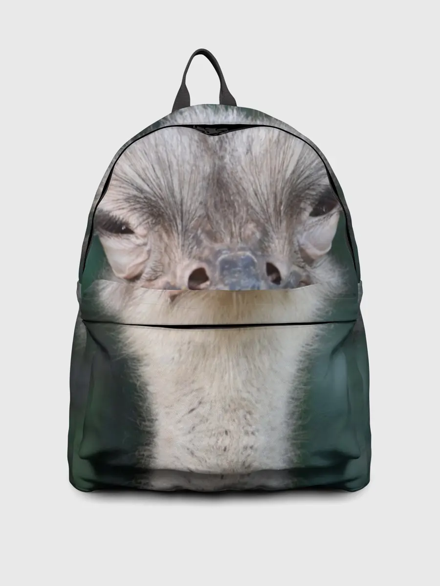 Рюкзак джинсовый / Подозрительный страус