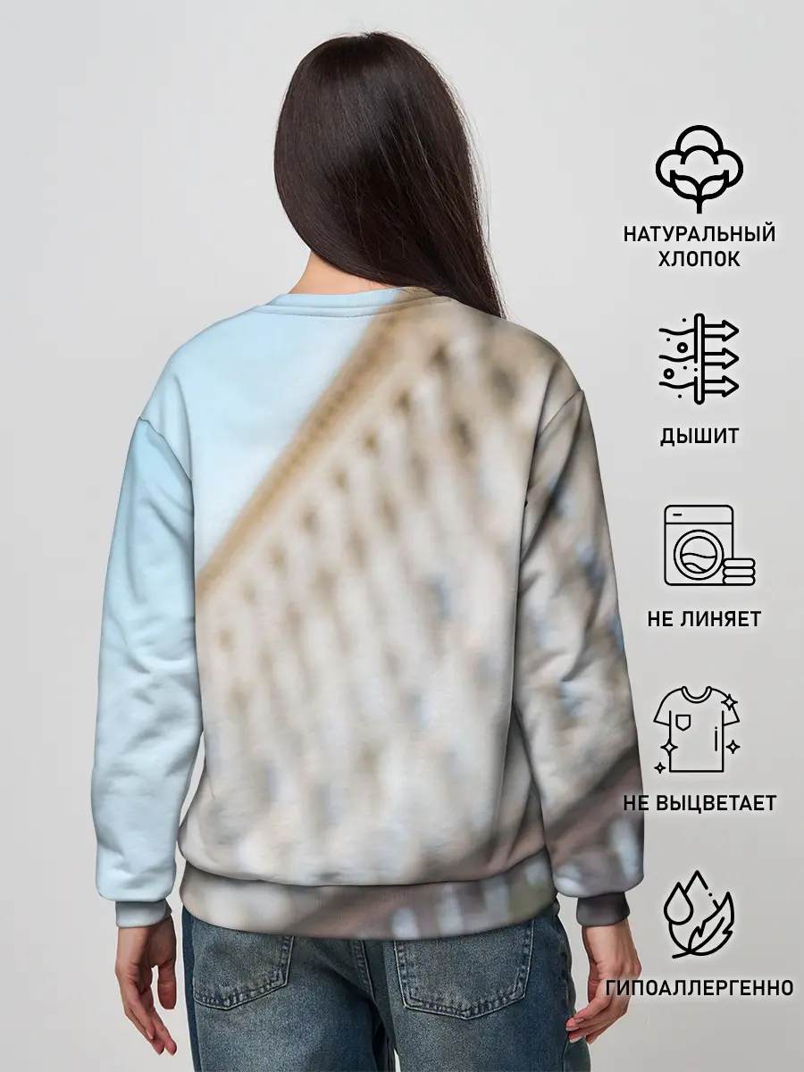 Женский свитшот / Роберто Карлос