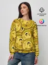 Женский свитшот / DOGECOIN / DOGE / ДОГИКОИН