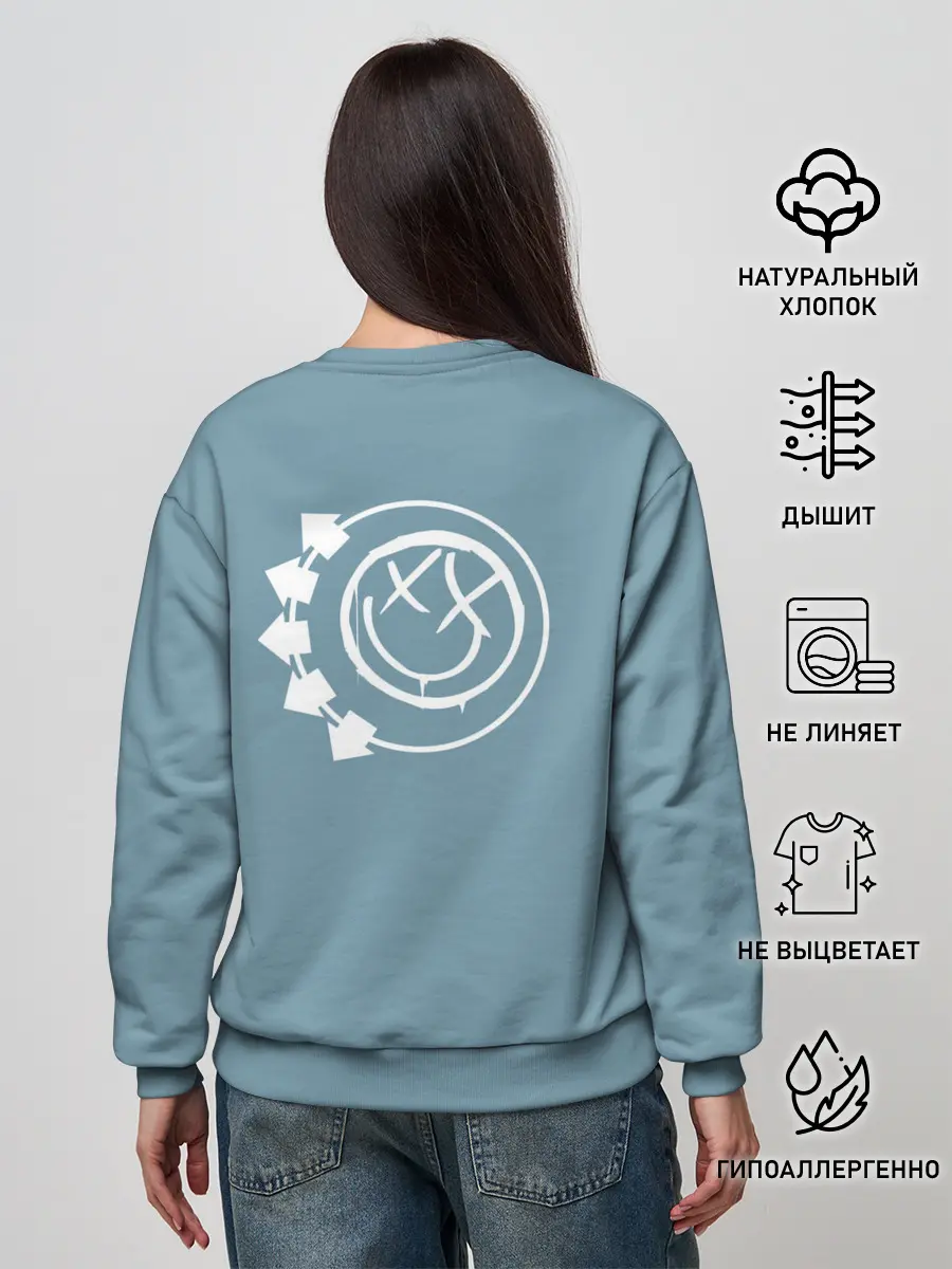 Женский свитшот / Blink 182