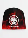 Детская шапка / The Offspring
