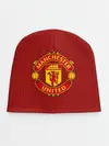 Детская шапка / Manchester United Knitted