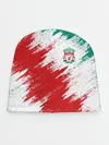 Детская шапка / FC Liverpool