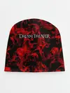 Детская шапка / Dream Theater