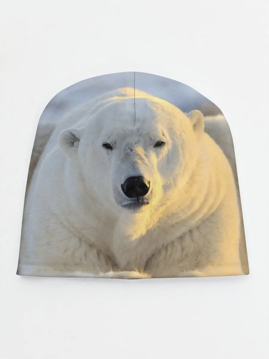 Детская шапка / Медведь