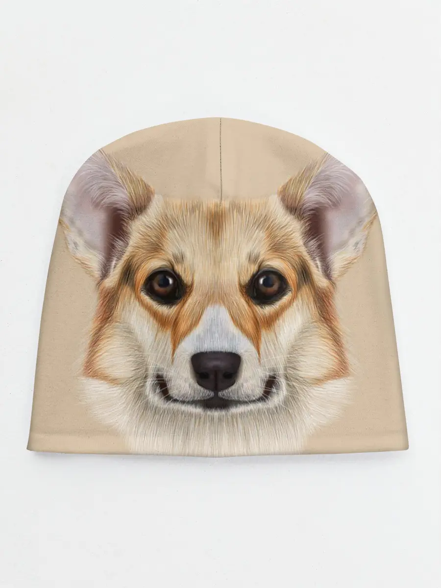 Детская шапка / Pembroke