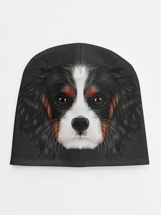 Детская шапка / Cavalier King Charles