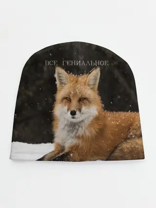 Детская шапка / ВСЕ ГЕНИАЛЬНОЕ ФЫР.