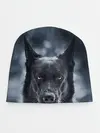Детская шапка / Dark Dog