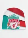 Детская шапка / Ливерпуль формы