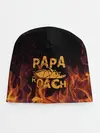 Детская шапка / Papa Roach