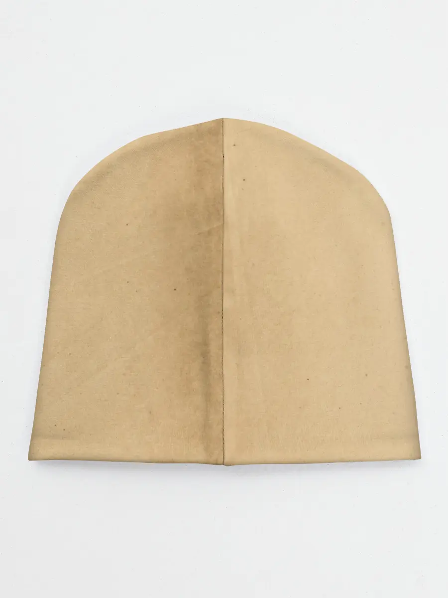 Детская шапка / Кот Да Винчи