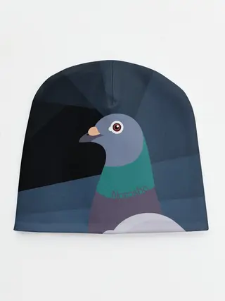 Детская шапка / Голубь Наташа