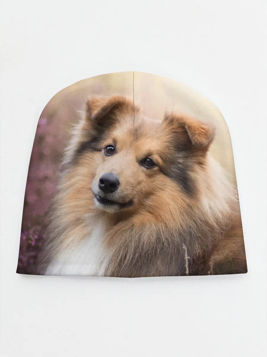 Детская шапка / Шелти