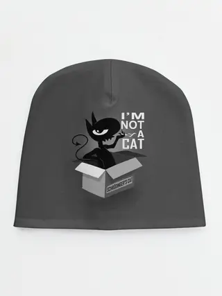 Детская шапка / Disenchantment. Im not a Cat