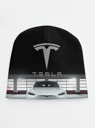 Детская шапка / TESLA