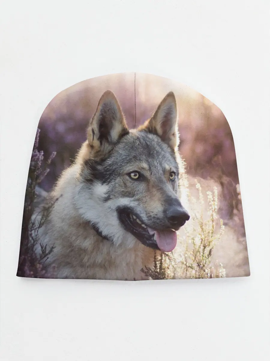 Детская шапка / Волк