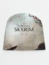Детская шапка / The Elder Scrolls SKYRIM 5